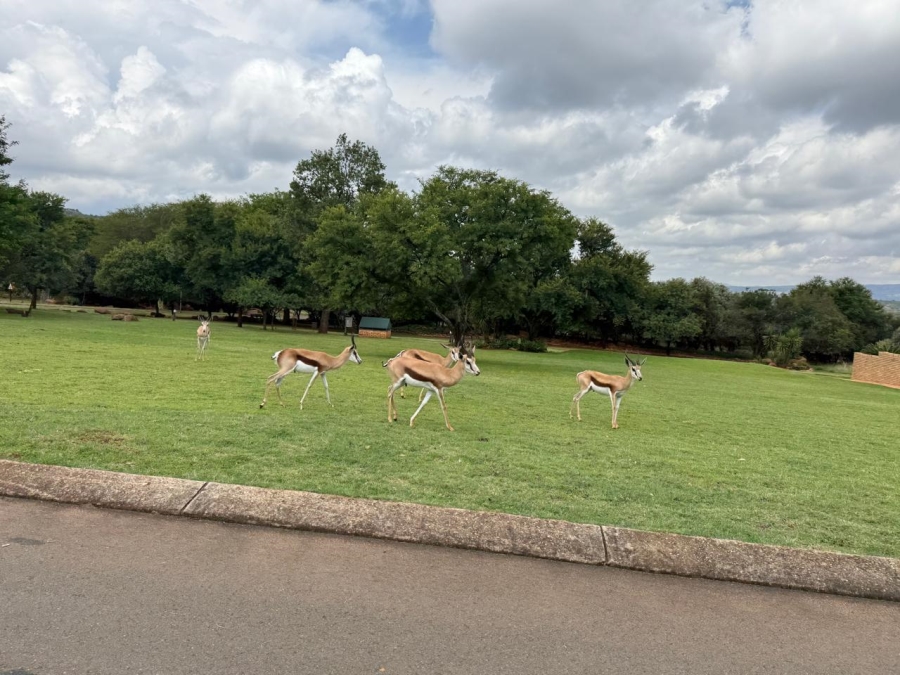 0 Bedroom Property for Sale in Buffelspoort Eco Estate North West